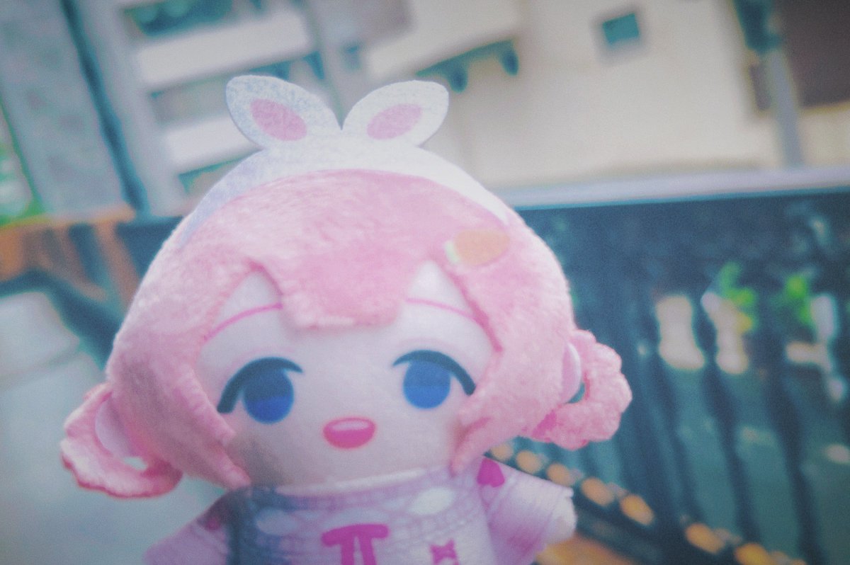 やっと会えた！ずっとずっとず〜っと待ってたんだ〜！今日からよろしくね🫶

#ンゴサ 
#ンゴンゴ今日も可愛いンゴ
#にじぱぺっとが見られるタグ