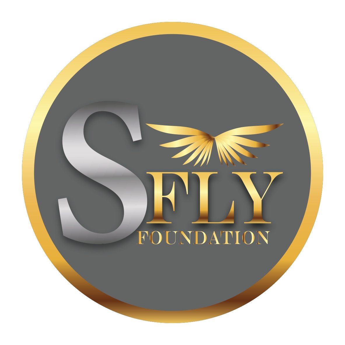 jishanbasantpur's tweet image. Silver Fly Foundation