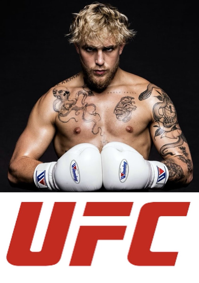 AvConsumer's tweet image. #jakepaulufc