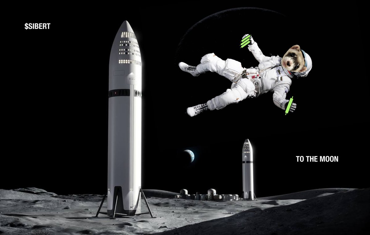 🚀 $SIBERT TO THE MOON!!