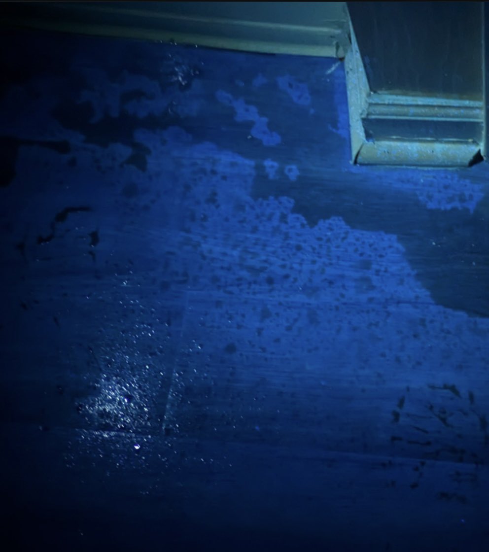 In this episode of Zone 7, Crime Scene Investigator, Sheryl McCollum and returning guest, Clay Bryant dive into the gruesome case of a victim, whose dismembered body was found in a burning black bag in December 2007.
iheart.com/podcast/1119-z…