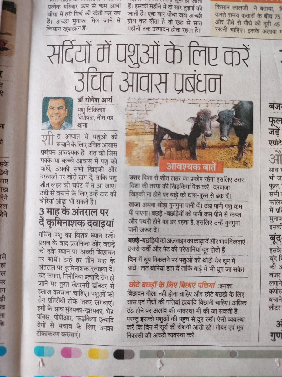 Dr Yogesh Arya (@dryogesharya) on Twitter photo Rajasthan Patrika 21/11/24 Rajasthan Patrika 21/11/24