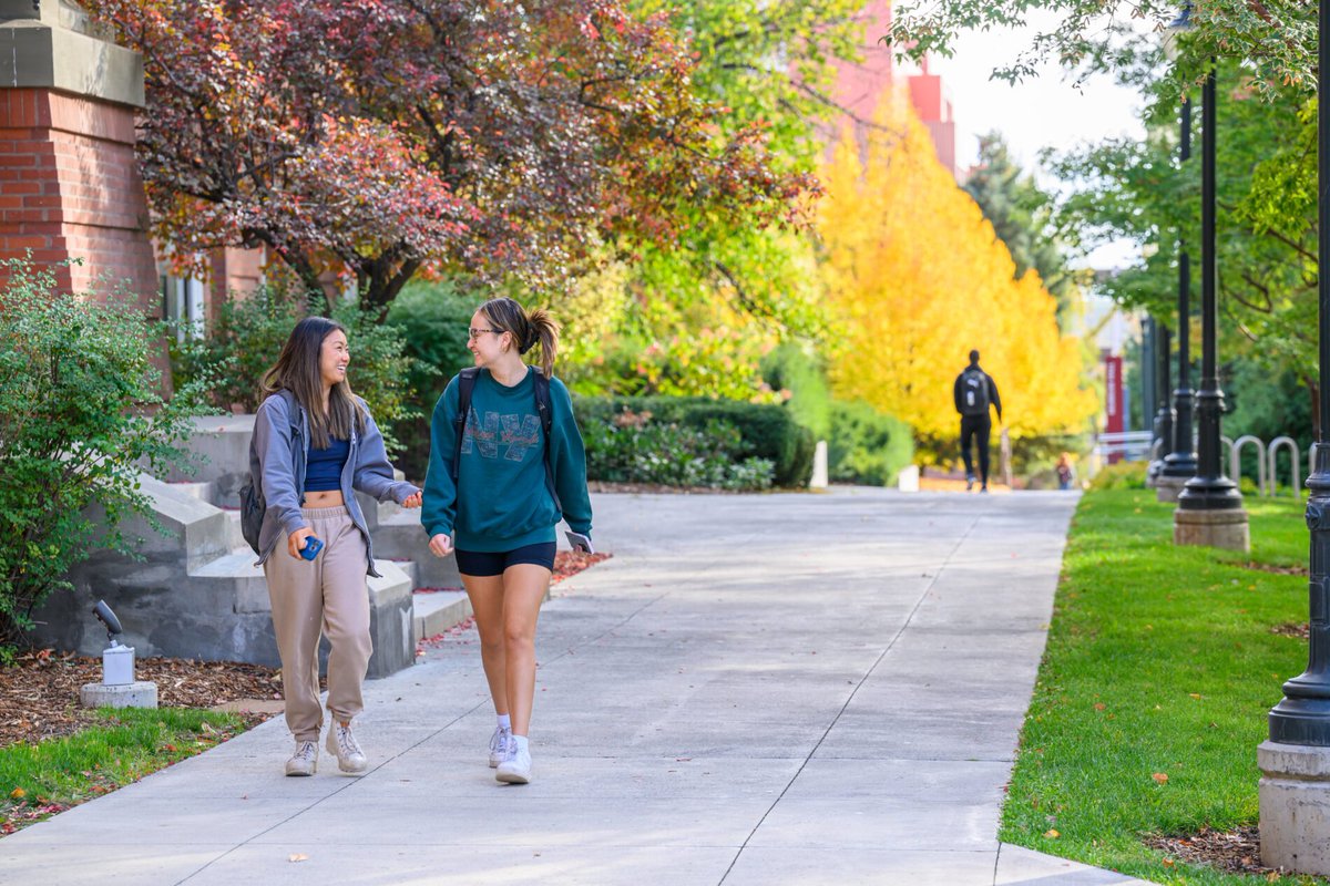 CareersWSU's tweet photo. NEW #CareerOpportunity: https://t.co/yCj0JYkDGz
🚀@WSUPullman is seeking a Retention Counselor for the Undocumented Student Center!📣You'll focus on academic advising, mentoring, advocacy &amp; developing programs.🌍 #GoCougs #StudentSupport #UndocumentedStudents #Diversity #HigherEd https://t.co/jSOJUhza5q