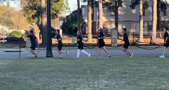 UCA Baseball tweet media