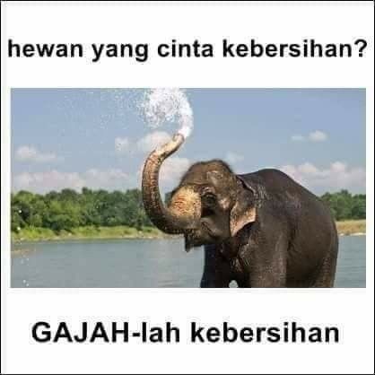 𝑮𝒓𝒂𝒚. tweet media