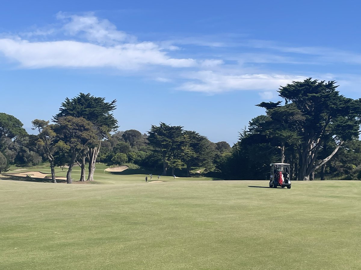 Mark Allen 🇦🇺 tweet media