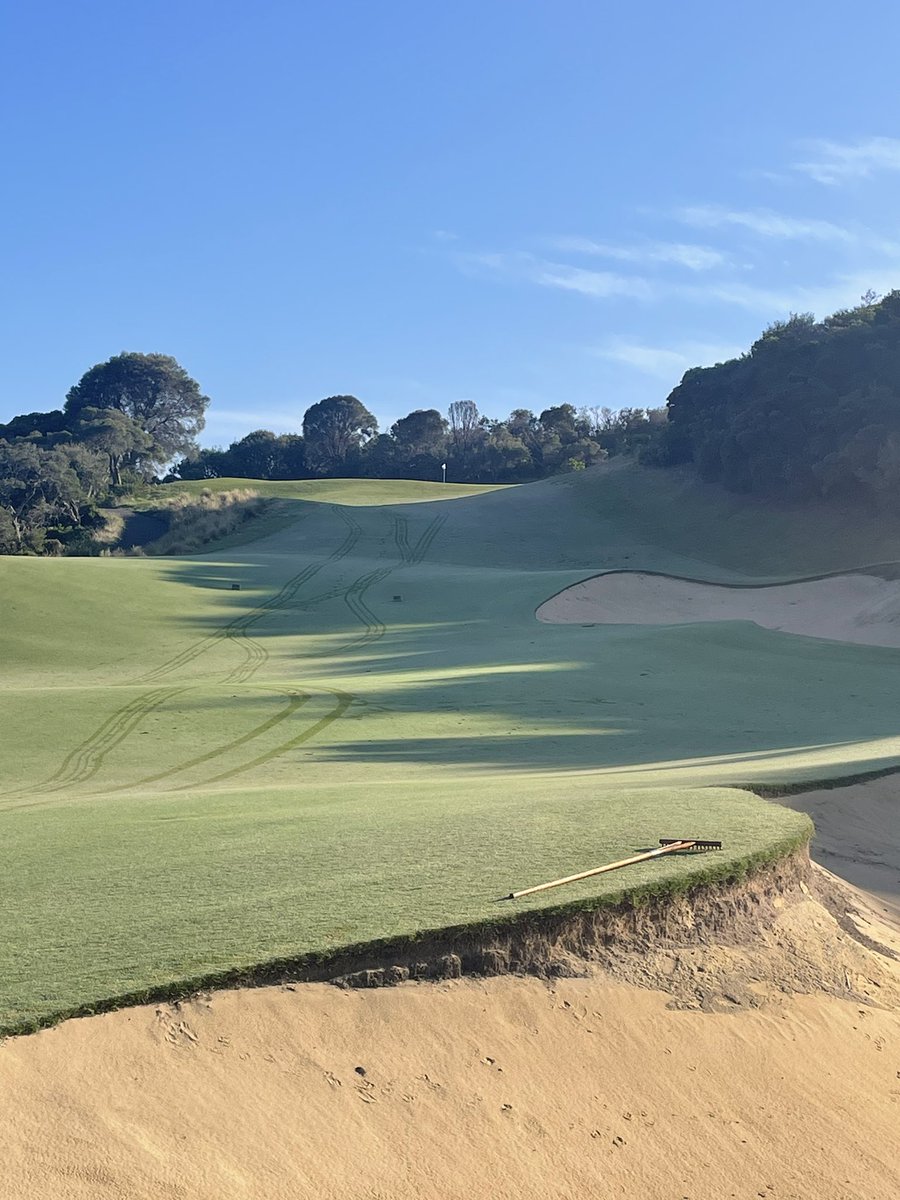 Mark Allen 🇦🇺 tweet media