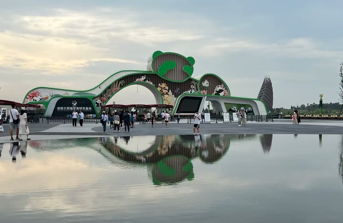 Trending_CN's tweet image. Chengdu, the home of pandas. At the Panda Base, you can see these cute creatures up close. #PandaBase #Chengdu #Pandas