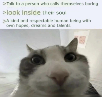 ShitpostRock's tweet photo. https://t.co/Q0ecXKncPR