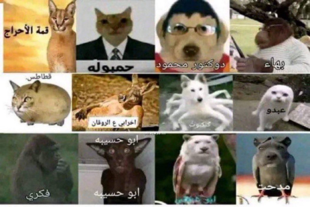 المنتخب السعودي🇸🇦 الموسم القادم 😂😂😂😂