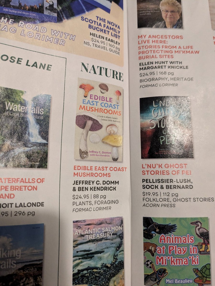 Raccoon at home tweet media