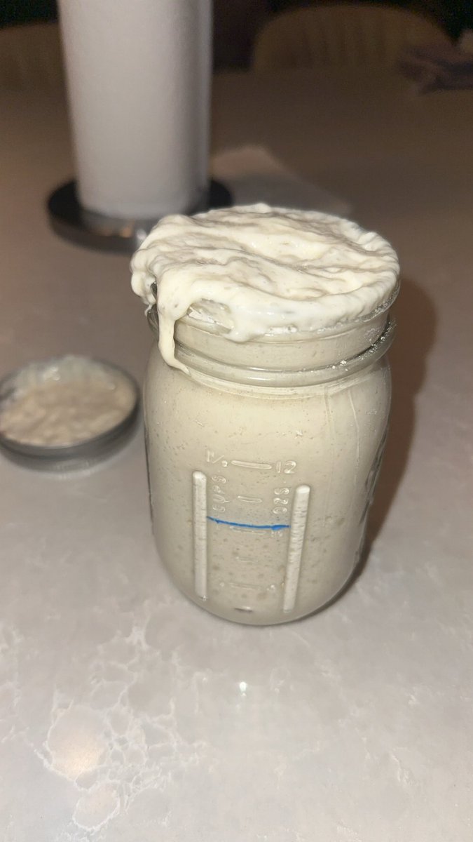 mollyy_walker's tweet photo. Sourdough szn https://t.co/299j6uB6xa