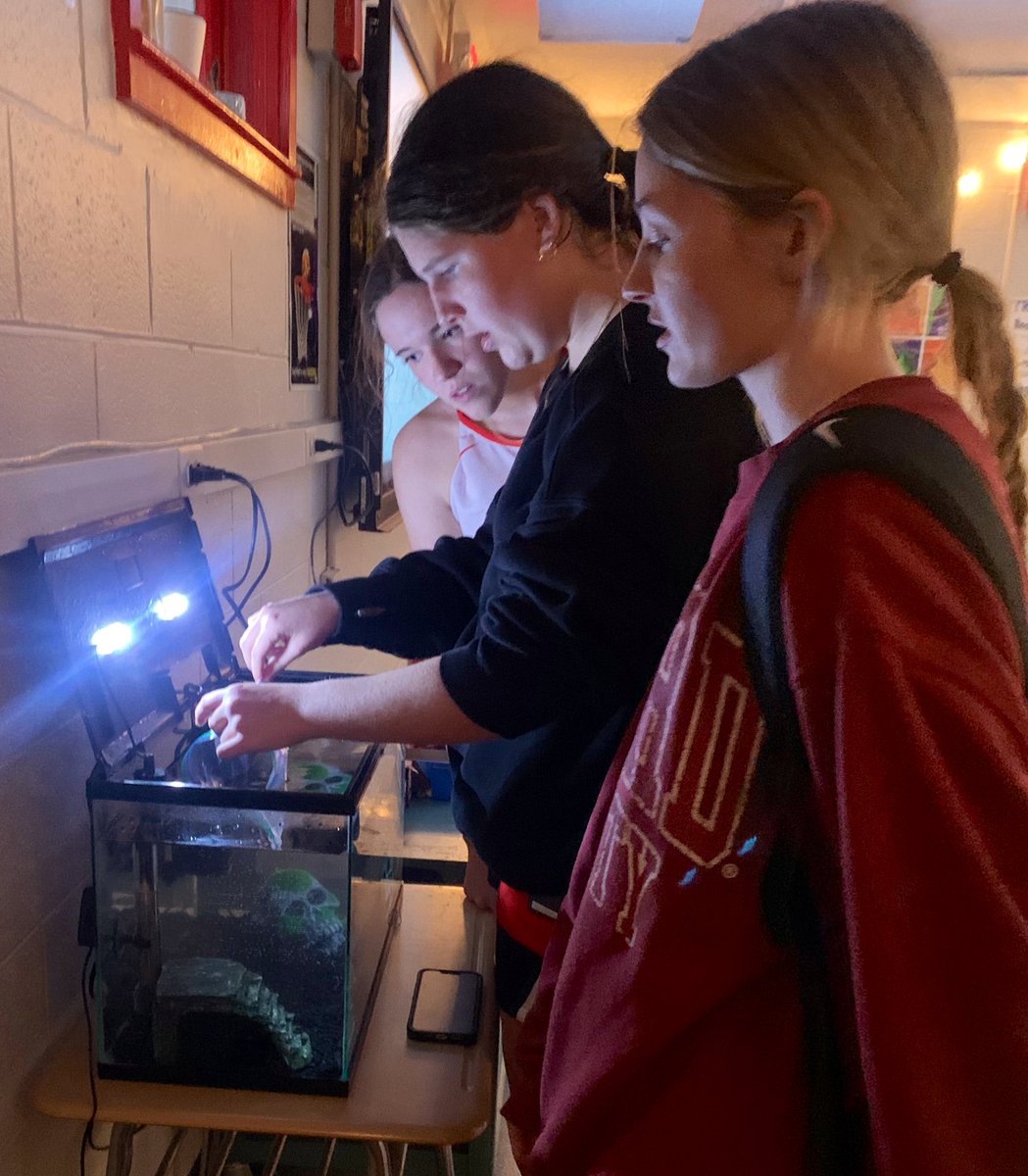 I had the best birthday surprises from my team! Sweet gifts, clean locker room, amazing cupcakes, and my face on cookies. I’m blessed to have them as part of my family.
They also figured out how to get a fish-just set it up in my classroom (without asking) &amp; hope for the best.