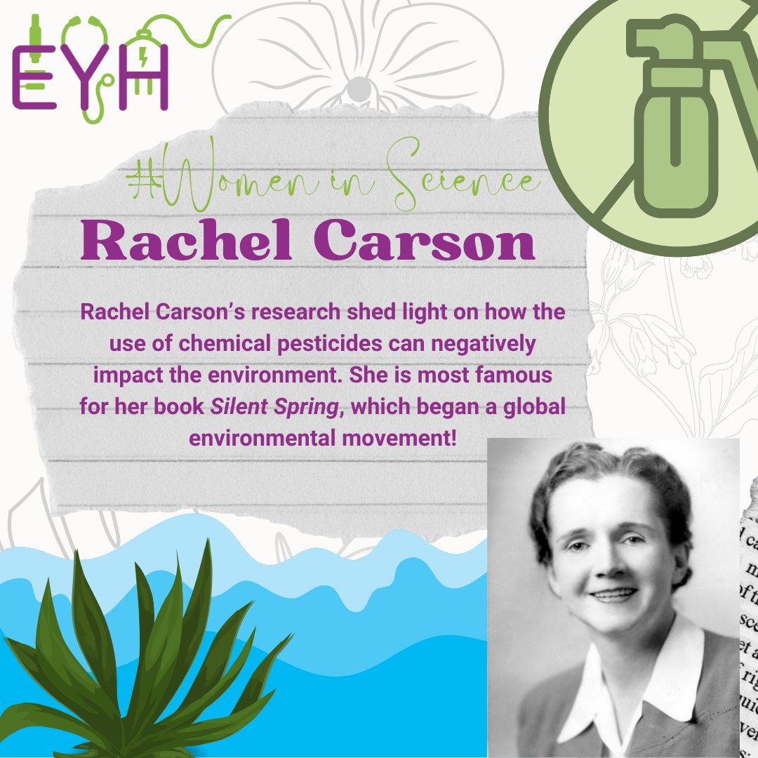 CornellEYH's tweet photo. Today's #WomenInScience features an ecologist and environmentalist, Rachel Carson! Her work was monumental in creating the EPA 💫 🐝 🌼

#WomenInSTEM #EYH2025 #EPA https://t.co/GMxqqmda1p