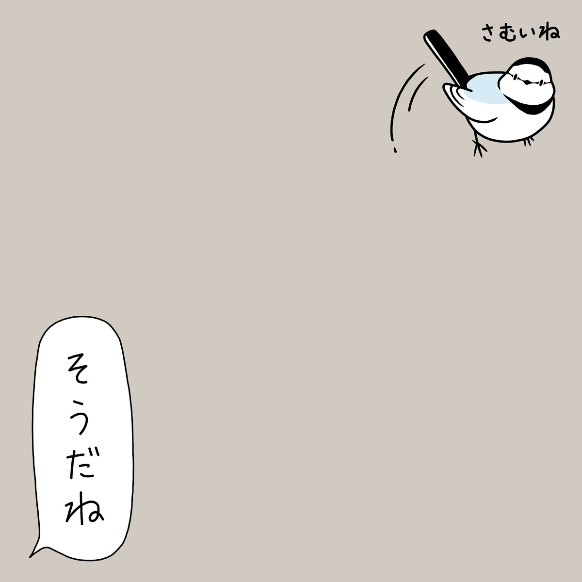 路上にハクセキレイが帰ってきた。 