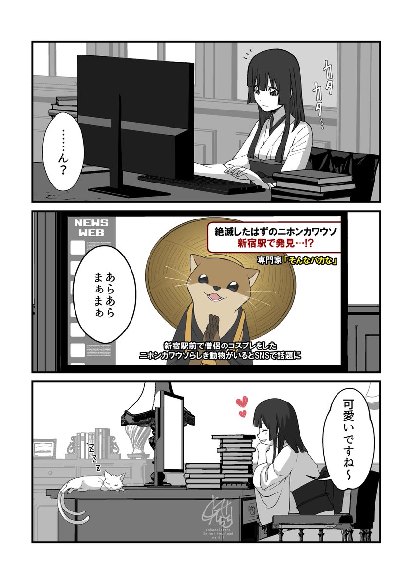 (5/5) 