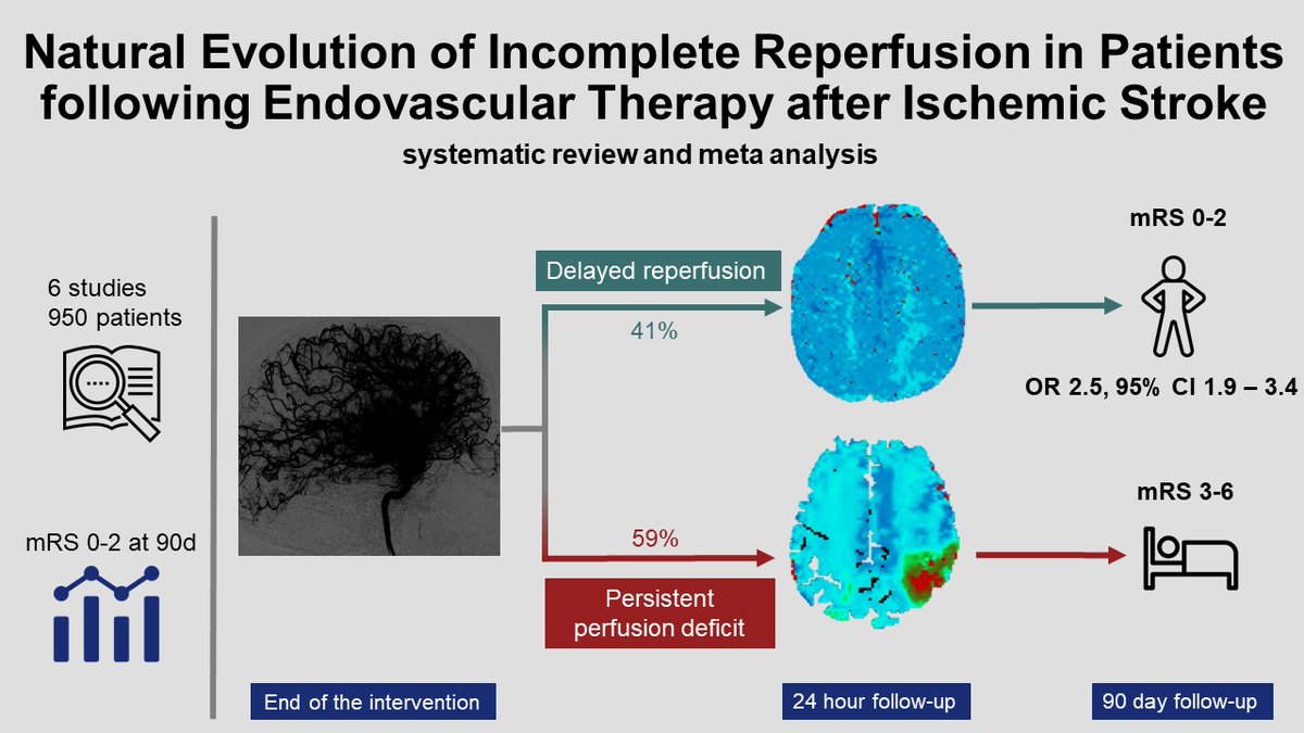 🧵The significance of delayed reperfusion post-EVT in predicting response to adjunctive therapies is not known. Predicting the evolution of reperfusion post-EVT could identify promising candidates for adjunctive anti-thrombotic, lytic, or neuroprotectant therapies. #SVIN24