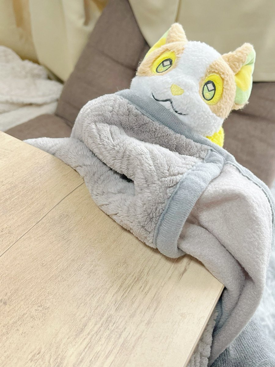 ぼそぼそのワンパチ (@bosopachi) on Twitter photo 