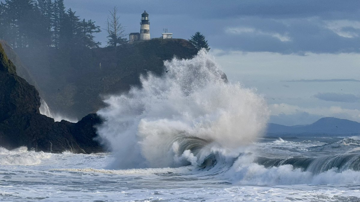 Ryan Voutilainen 🇨🇦🇫🇮 tweet media