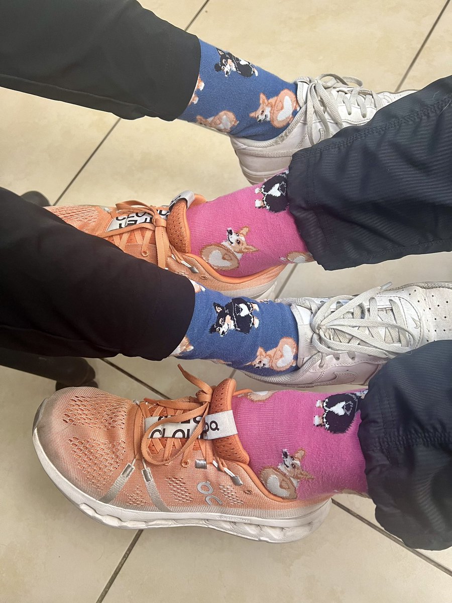 #Corgi Crew! Who wore it better? 😂
Somehow Dr Amina &amp; vet tech Carly have the same socks &amp; wore them on the same day! #Twinsies #Roncy #Roncesvalles #HighPark