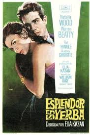 TCMComingUp's tweet photo. #ComingUpOnTCM
SPLENDOR IN THE GRASS (1961) Natalie Wood, Warren Beatty, Pat Hingle
Dir.: Elia Kazan 11:00 PM PT
The romance of two teenagers in 1928 is thwarted by the expectations of their parents.
2h 4m | Drama | TV-14
#TCM #TCMParty #WilliamInge https://t.co/hxaZBBRHsg