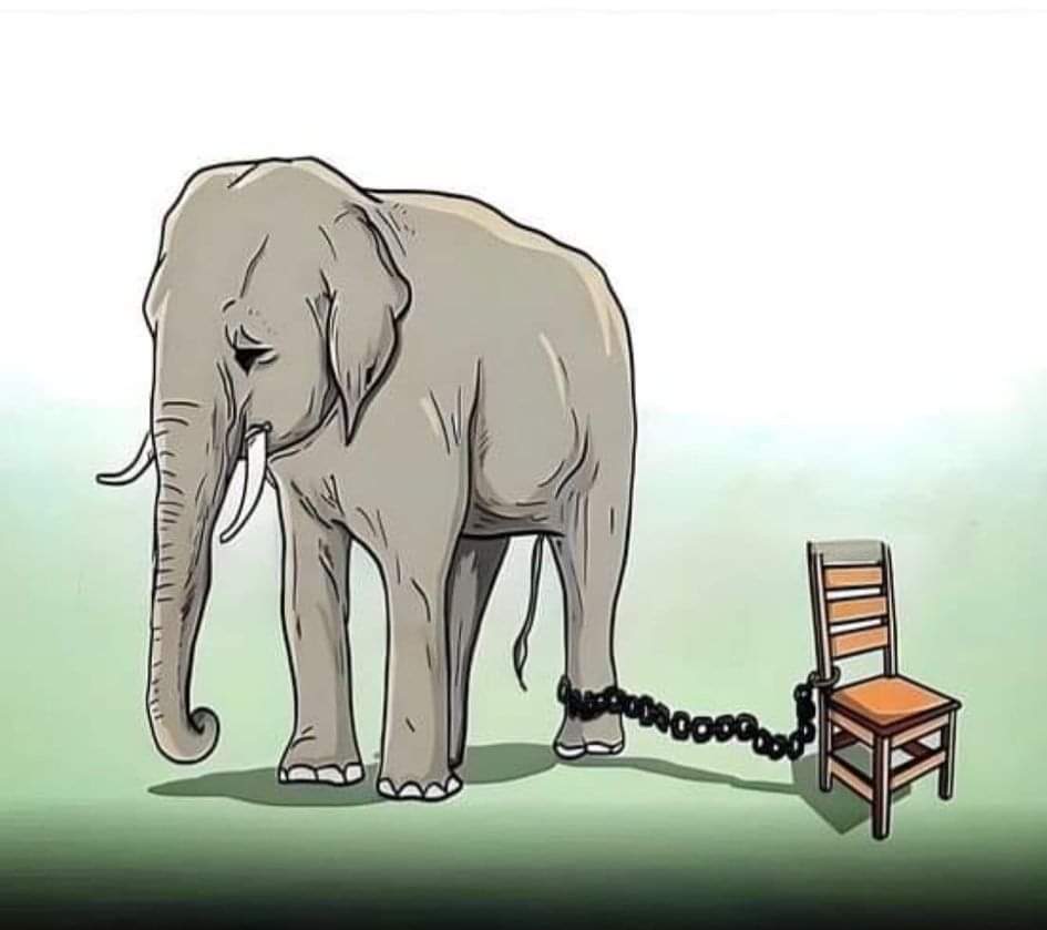 Às vezes, o que te impede é toda a tua mente.