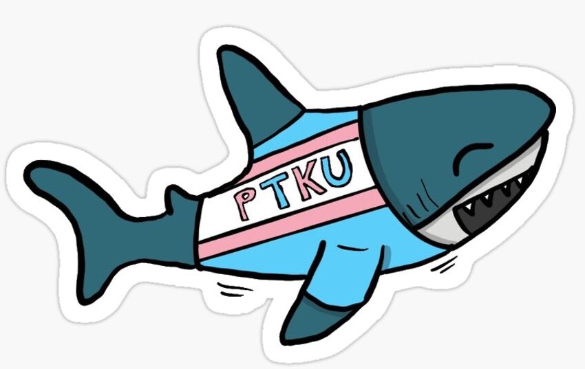Today and every day, Blue Sharks don’t sleep