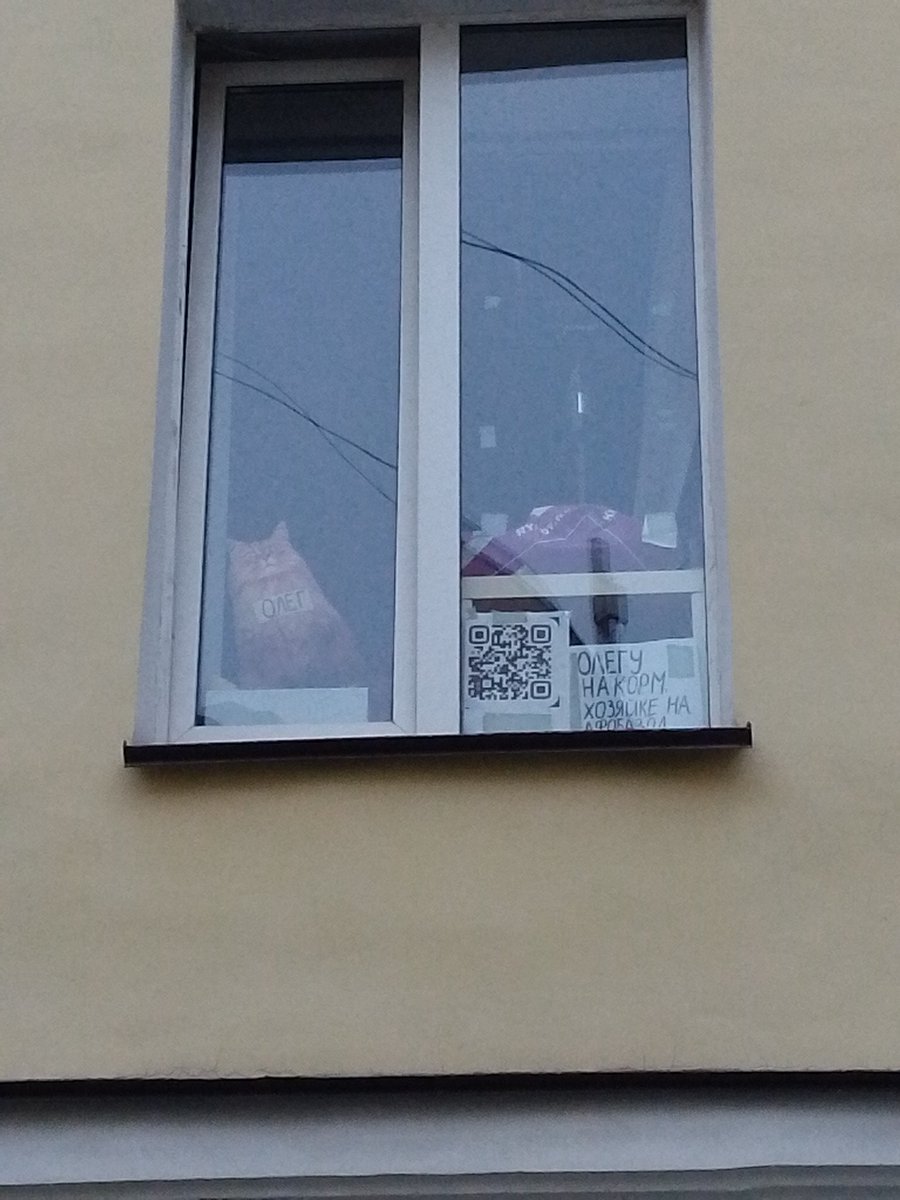 Питерские окна