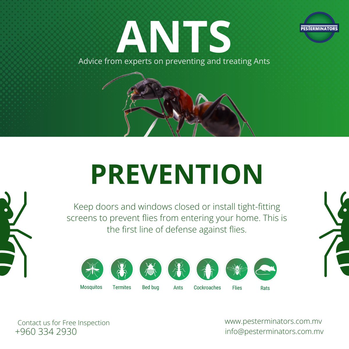 Pesterminators_'s tweet photo. ANTS
Advice from experts on preventing and treating Ants

Keep doors and windows closed or install tight-fitting screens to prevent flies from entering your home. This is the first line of defense against flies.

#ants #pestcontrol #prevention #pesterminators https://t.co/hcOUsxa1KH