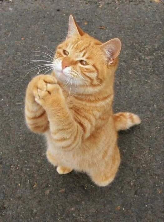 Today is my birthday but I am not beautiful and no one has wished me 😭😭♥️