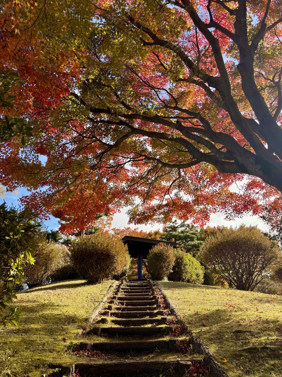 nissan_nismo_'s tweet photo. 天気が良いからパチリ📷🍁😄

#那須塩原市 #那珂川河畔公園 https://t.co/lHd3zD5UrL