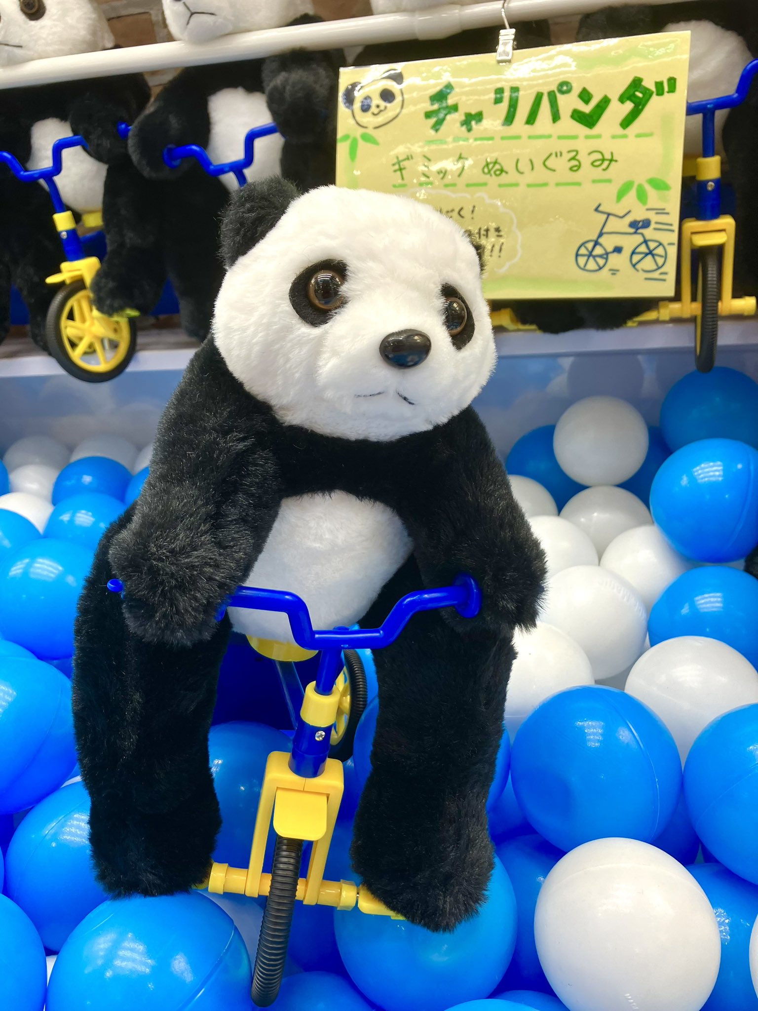 チャリパンダ ギミックぬいぐるみ 4体セット ゲームスポットPado郡山店 on X: 