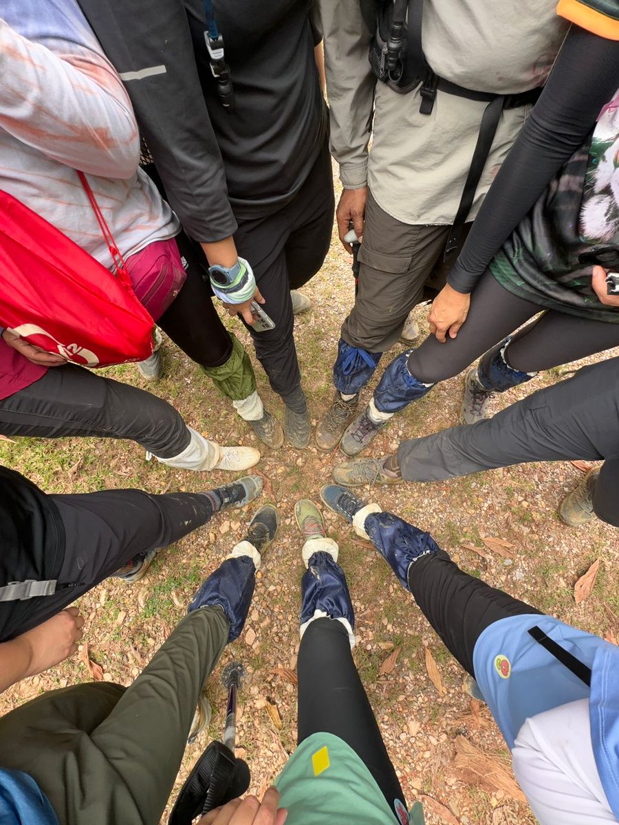 Are you in? Join us for the last CAT Walk of 2024. Sat 14 - Sun 15 December. Join us in the beautiful border town of Merapoh to walk the wonderful wildness of Sungai Yu Ecological Corridor. Details at the link in our bio. Deadline to complete registration is Wed 27 November.