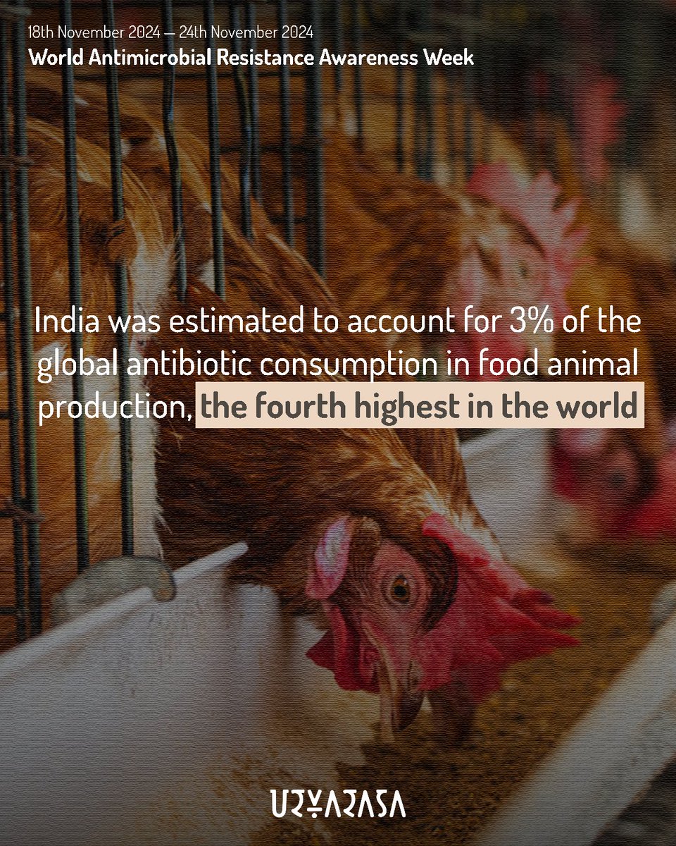 Urvarasa tweet media