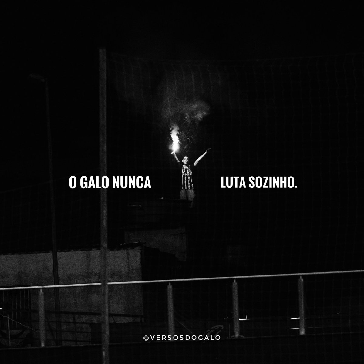 VersosdoGalo's tweet photo. Faremos de novo. https://t.co/9U6Hcw4sqw