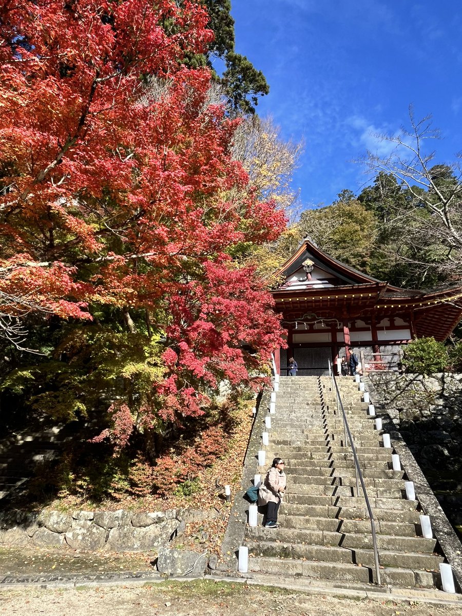 JunichiKoteraMB's tweet photo. おはようございます
今日の #奈良 は晴れ
本日の写真は奈良の紅葉スポット、桜井市の #談山神社 
ちなみにこの2枚は紅葉の表裏両方からの撮影。同じ木でも雰囲気が違って見えます。
#企業公式が地元の天気を言い合う 
#がんばろう企業公式 
#企業公式相互フォロー https://t.co/KI5ZK5xc0T