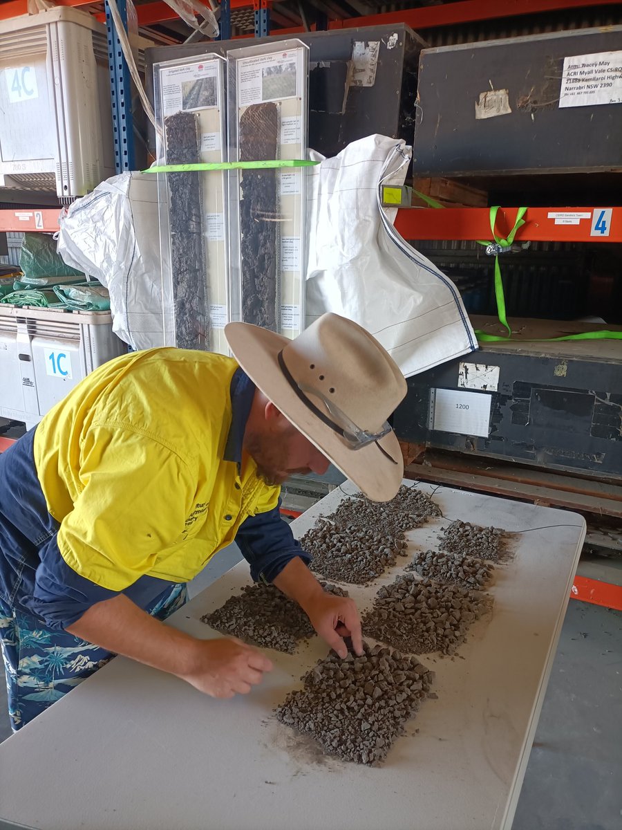 🚨 8:30 ACRI, Narrabri - TOMORROW 🚨
Soils - Nitrogen cycling - Crop plant back 

While the rain has 🚫 the soil pits, the team at ACRI have pulled together talks and displays with local growers and researchers + a BBQ lunch
<a href="/CottonInfoAust/">CottonInfo</a> <a href="/csd_cotton/">CSD</a> <a href="/CottonResearch/">CRDC</a> <a href="/SiaSydney/">Sydney Agriculture</a>