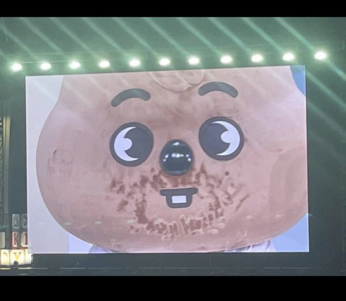 cjhsapple's tweet photo. @Stray_Kids can u bring the big skzoos with you to the US? I kinda feel like I need to see human sized Han Quokka. Thank u https://t.co/hXU4qoN6Zw