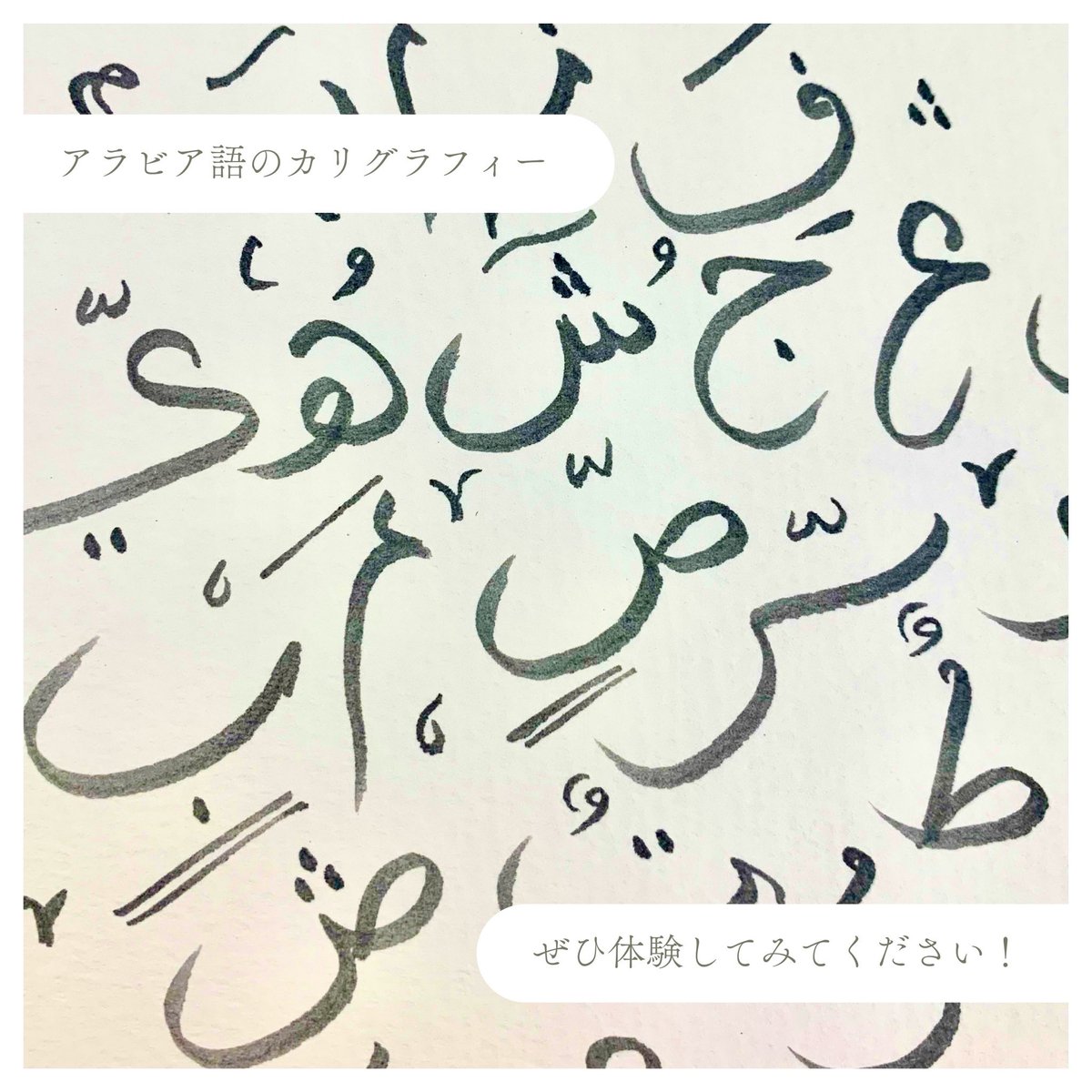 【開催まであと2日🌼】

🐾出店者紹介🐾

つながるイスラム教のワークショップ／ヒジャブ体験、アラビア語カリグラフィー、イスラム教の食文化、クラフト