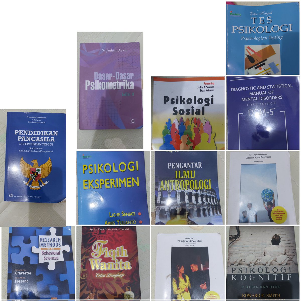 febrisaft's tweet photo. @lilythevaleys Klo masih nyari aku ada buku psikologi kognitif https://t.co/srkB32KD6n