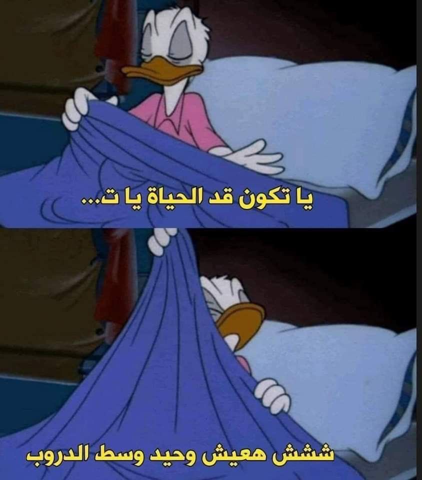 كل صباح