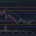 Photo by BlackBearCrypto (@blackbearcrypto)