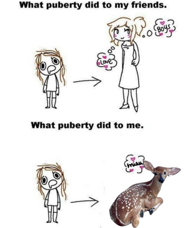 Isla 🏝️🦌 tweet media