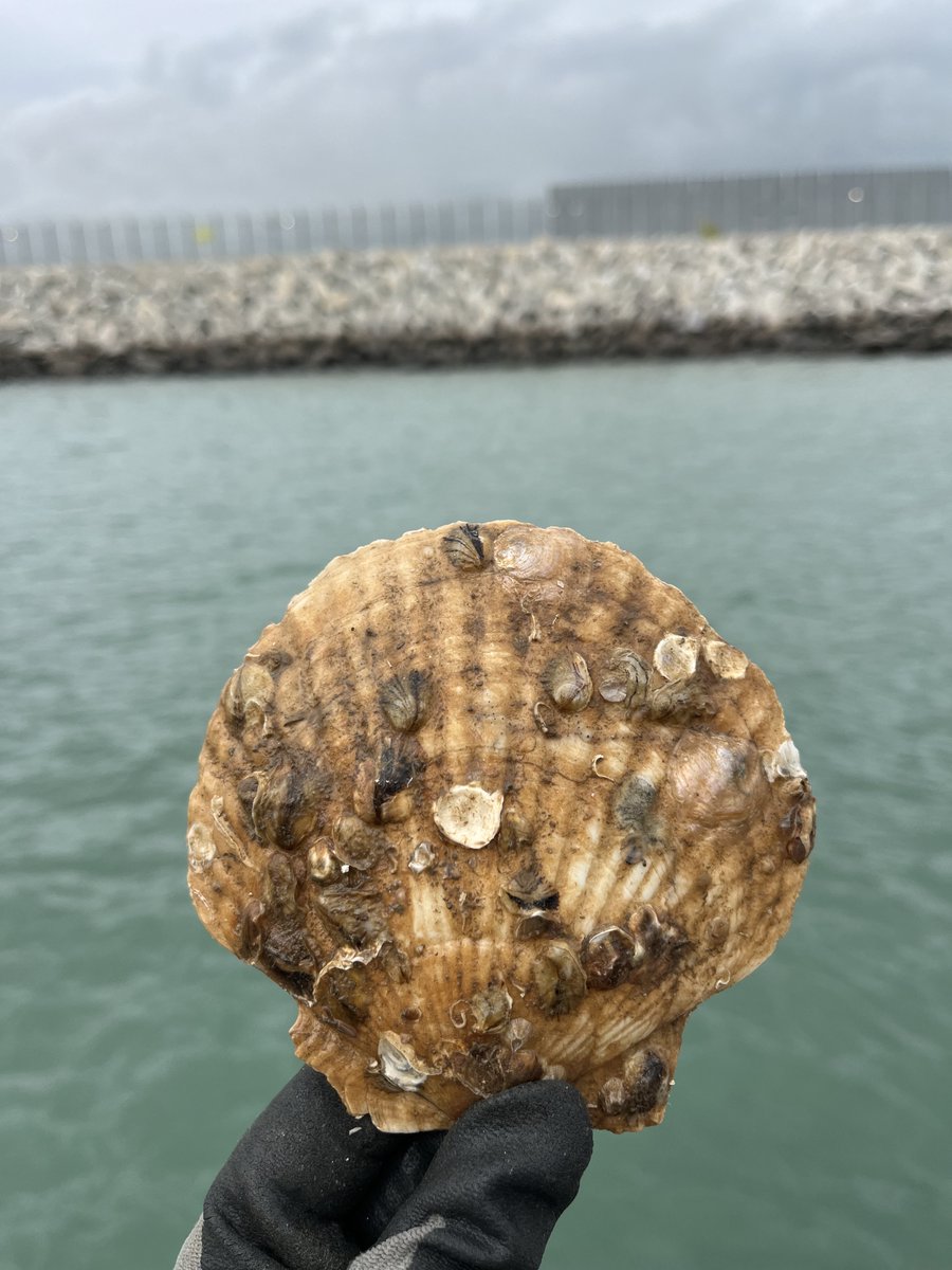 Marine Futures Lab tweet media