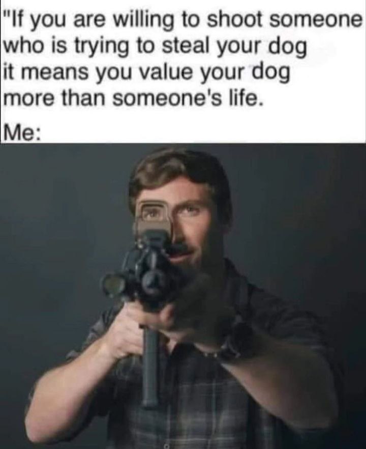 Is it wrong that I agree with this meme ?