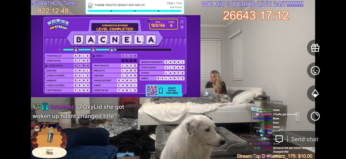 sarols15's tweet photo. @emilycctwitch your dog just watching chat 😂😂 https://t.co/9G5hFIVZrK