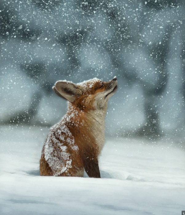 MetaMaskFoxBill's tweet photo. @MetaMask Stop annoying MetaMask with that question people. You all slept under a rock obviously.

The name is $Bill 🦊 https://t.co/a3VC5hbRa0