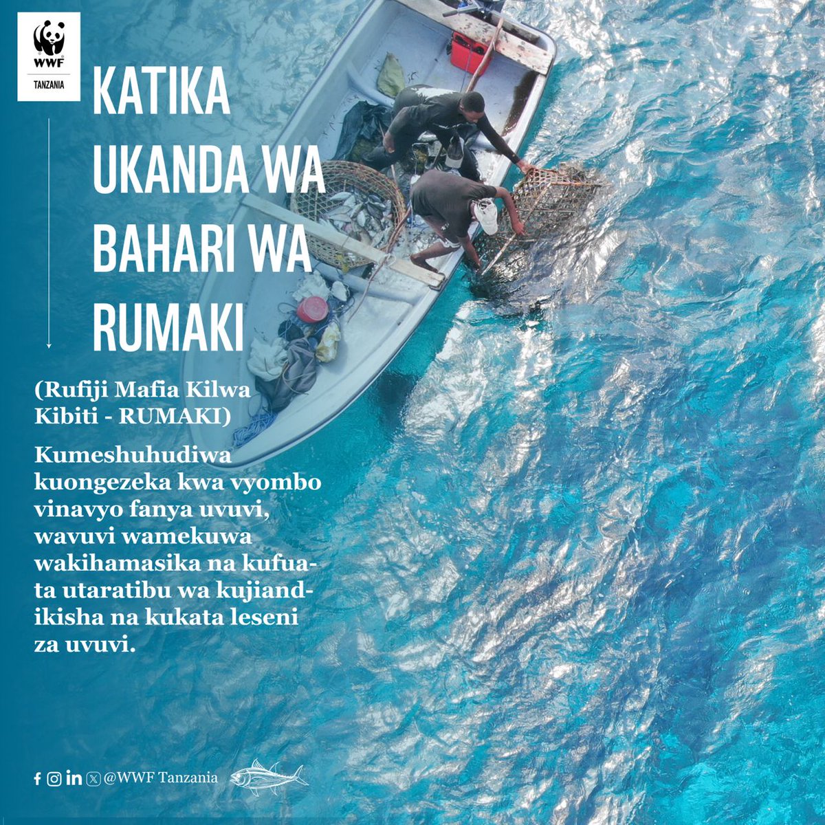 WWF-Tanzania tweet media