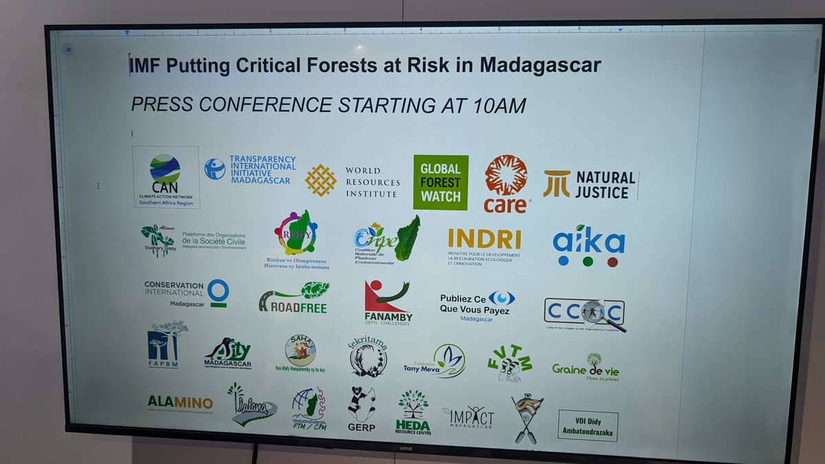 indrisolutions's tweet image. IFM putting Madagascar forests at risk !

Press conference at 10am, Save Soil pavilion, located at D6 in the Blue Zone delegate pavilion area. #cop29