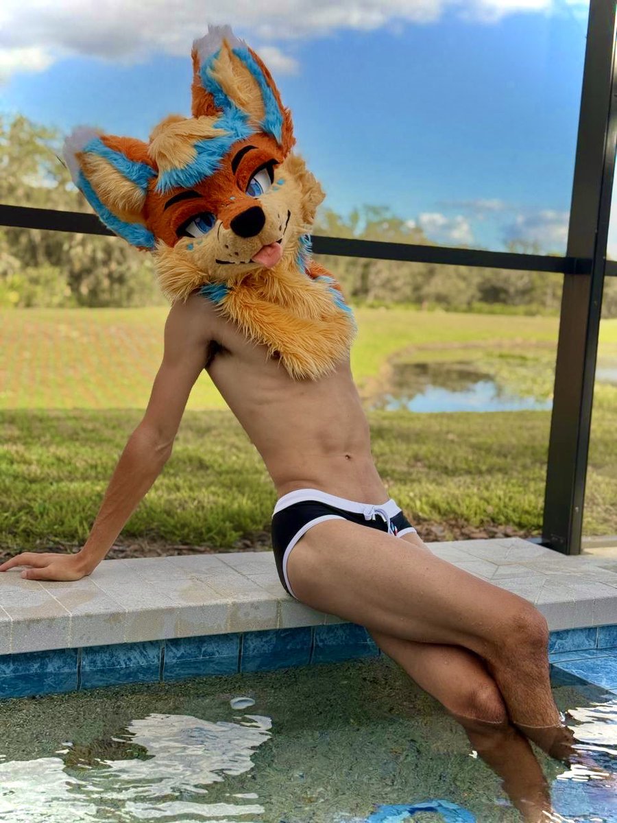 ApolloTheFolf's tweet image. Care To Join For A Swim?~

📸: @OrenWoof